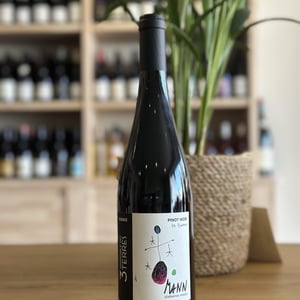 Pinot Noir la lluna - Domaine Mann - sebastien-jean-louis-fabienne-mann -2023
