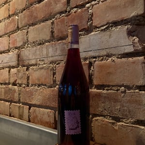 Pinot Noir - Hanna Glatzer - hanna-glatzer -2023