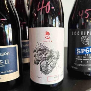 Pinot Noir - Marto Wines - Weingut Wörner - martin-worner -2021