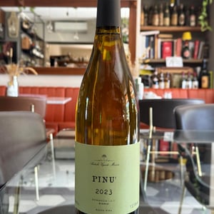 Pinu' - Antichi Vigneti Manca - alessia-e-noemi-manca -2023