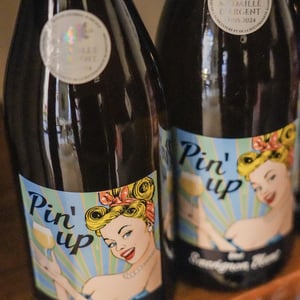Pin’Up Sauvignon Blanc - Domaine de la Coche - patrick-gerard -2024