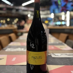Pinzutu - Domaine de Sulauze - karina-guillaume-lefevre