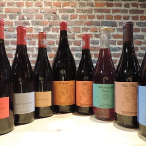 Pitchounet - Domaine Mouressipe - pierre-saakovidi