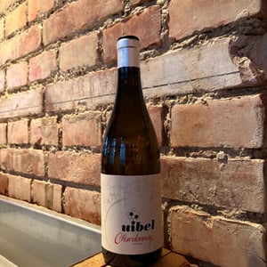 Plafond Chardonnay - Weinhof Uibel - michaela-leo-uibel