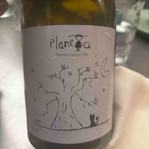 Planeta - Bernardo Estévez - bernardo-estevez-villar -2019