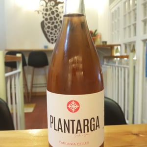 Plantarga - Carlania Celler - jordi-miro-and-sonia-goma-camps