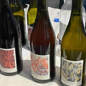 Plasma - Domaine de la Petite Soeur - adrien-de-mello -2023