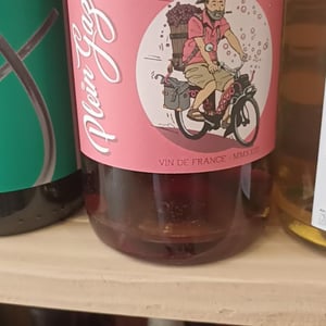 Plein Gaz - Damien Guillaume - damien-guillaume