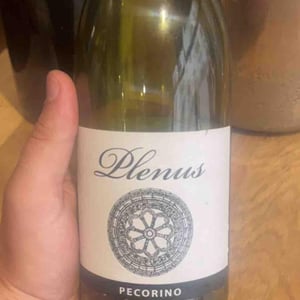 Plenus Pecorino - Azienda Agricola Marina Palusci - massimiliano-daddario