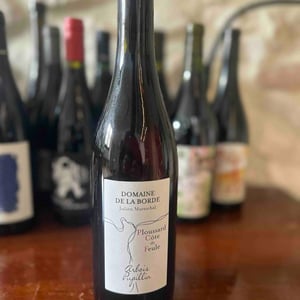 Ploussard Côte de Feule - Domaine de la Borde - julien-mareschal