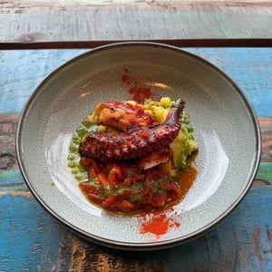 Polpo - Puntofermo - 972611