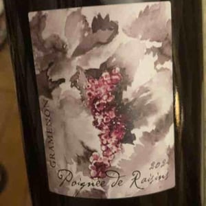 Poignée de Raisin - Domaine Gramenon - michele-aubery-laurent-maxime-francois-laurent