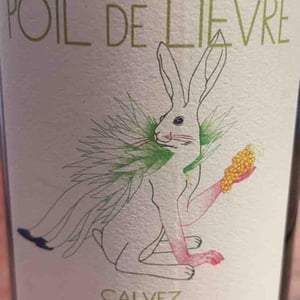Poil de Lievre - Domaine Calvez-Bobinet - sebastien-bobinet-emeline-calvez