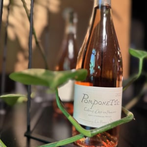 Pomponette - Domaine de Sulauze - karina-guillaume-lefevre