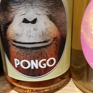 PONGO - Domaine d'Aresquiers - pierre-yves-petit -2024