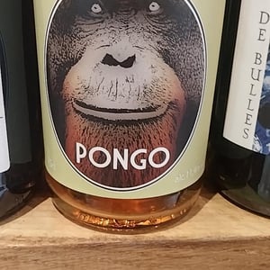 PONGO - Domaine d'Aresquiers - pierre-yves-petit -2024