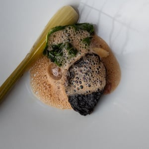 Portobello, Fennel, Swiss Chard, Strawberry, Mustard - TestTafel - 928546