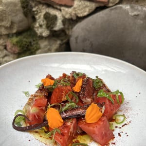 Poulpe - Bistrot l’Esquirou - 923319