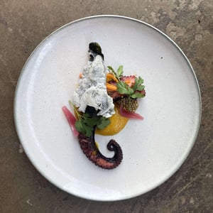 Poulpe Grillé - Rôti rôti - 920716