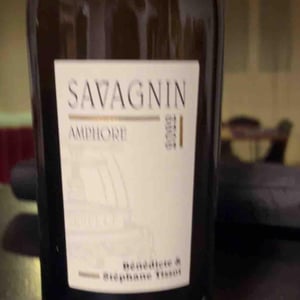 Poulsard Amphore - Domaine André & Mireille Tissot - benedicte-stephane-tissot