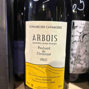 Poulsard de Chemenot - Domaine des Cavarodes - etienne-thiebaud