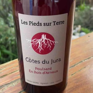 Poulsard En Bois d'Arnaux - Les Pieds Sur Terre - valentin-morel -2022