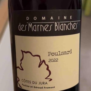 Poulsard - Domaine Des Marnes Blanches - pauline-geraud-fromont