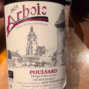 Poulsard - Domaine Villet - gerard-christine-villet
