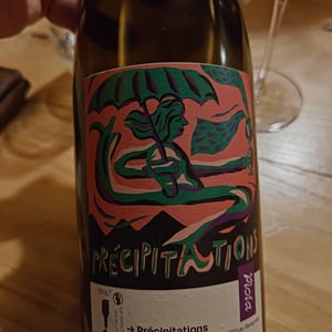 Précipitations - Ploïa - cecile-legrand-et-matthieu-moulic -2022