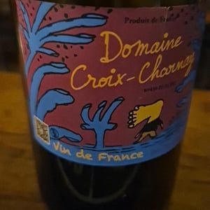 Primeur beaujolais - Domaine Croix-Charnay - iris-mauclert-wincent-lebegue -2025