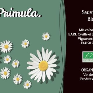 Primula - Domaine de l'Épinay - Earl Paquereau - cyrille-et-sylvain-paquereau