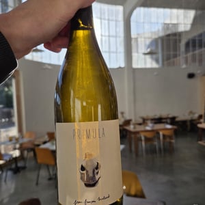 Primula - Domaine de l'Épinay - Earl Paquereau - jean-francois-malsert