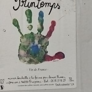 Printemps - Simon Busser - simon-busser