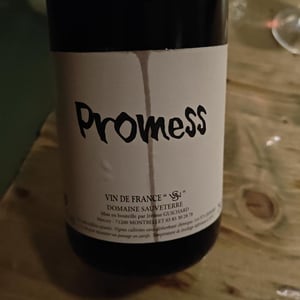 Promess R - Domaine Sauveterre - ghislaine-jerome-guichard