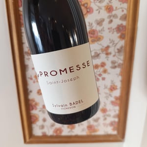 Promesse Saint Joseph - Domaine Si Le Vin - sylvain-badel