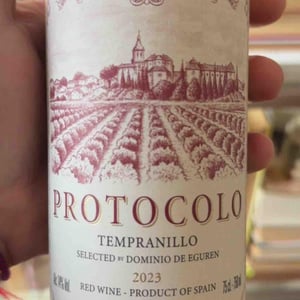 Protocolo - La tierra de castilla - domino-de-eguren -2023