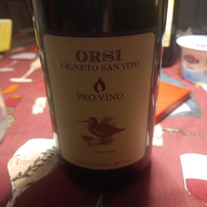 Pro.Vino - Orsi Vigneto San Vito - federico-orsi