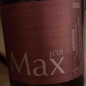 P'tit Max - Domaine Guy Breton - P'tit Max - guy-breton