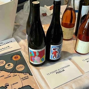 Puntaria - Podere ai Contadini - walter-iannini -2023