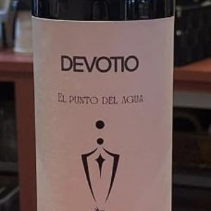 Punto de agua - Devotio - jose-ferrando-yolanda-pedroche