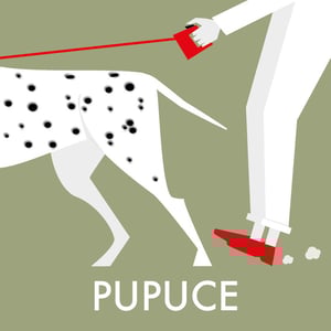 Pupuce - L'Esperluette - jean-claude-anne-beirieu