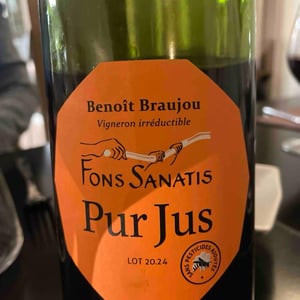Pur Jus - Fons Satanis - benoit-braujou