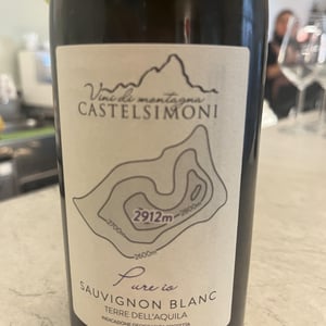 PURE IO - Azienda Vitivinicola Castelsimoni - paolo-simoni-manuela-castellani -2022