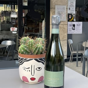 Quattrocento - Nicola Gatta - Metodo Classico - nicola-gatta