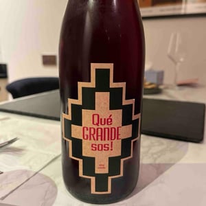 Qué Grande Sos! - Pol Opuesto - pol-andesnes -2018