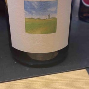Radicalement Blanc - Les Vignes Du Fresche - daniel-craker-marc-houtin