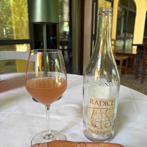 Radice - Paltrinieri - Barbara & Alberto Paltrinieri