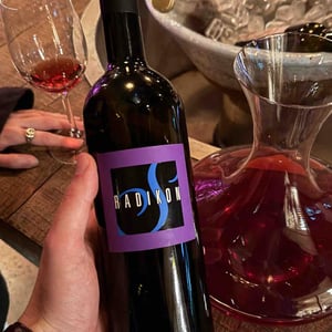 Radikon - Radikon - famiglia-radikon