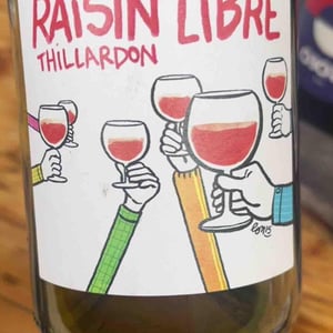 Raisin Libre - Domaine Thillardon - aude-jean-baptiste-charles-et-paul-henri-thillardon