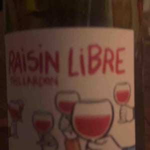 Raisin Libre - Domaine Thillardon - Aude, Jean-Baptiste, Charles et Paul-Henri Thillardon